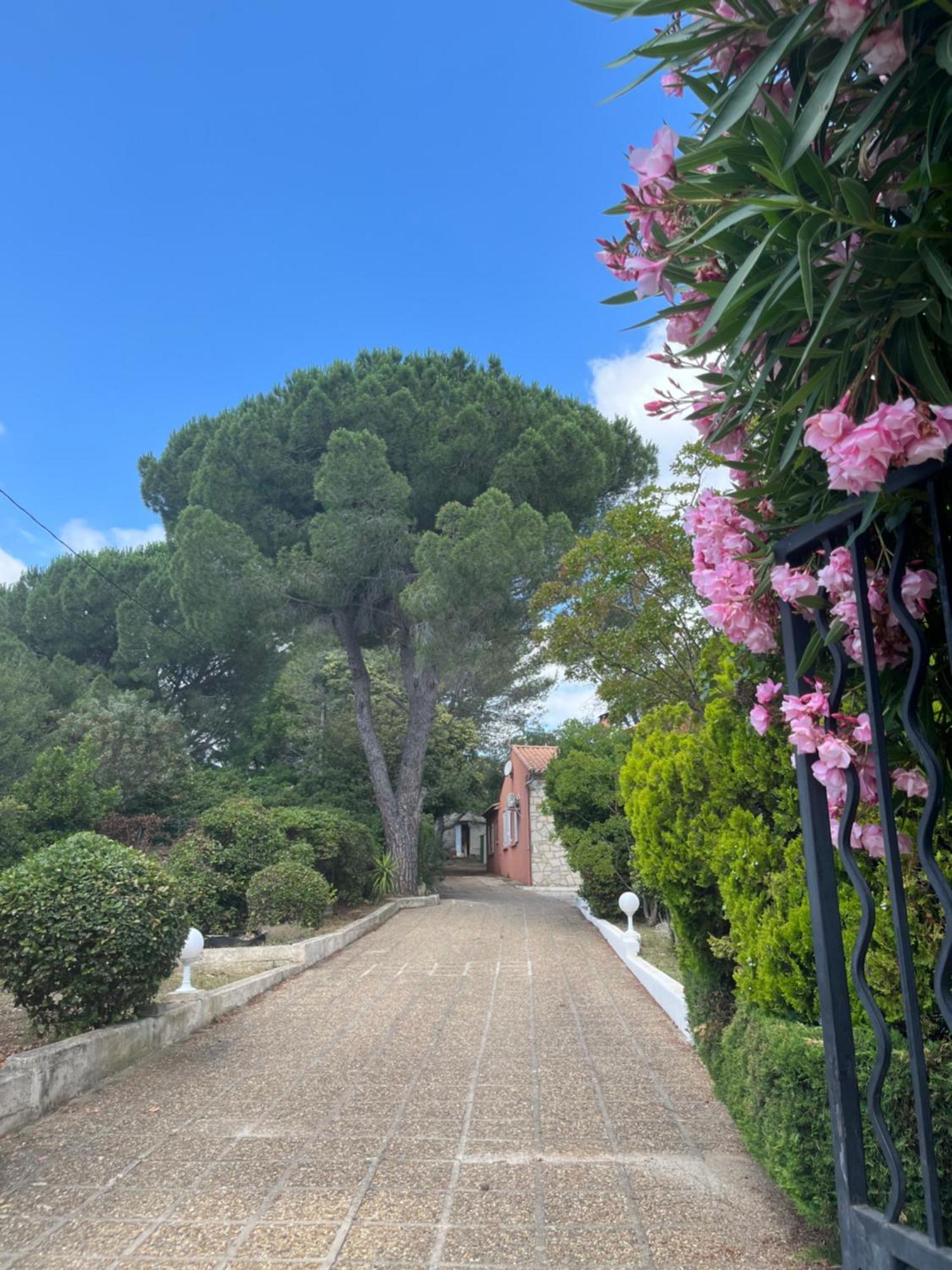200 Traverse du Pissadou Nîmes Extérieur photo